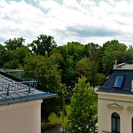 Zentral Gelegene Wohnung Nahe Schwanenteich Zwickau Exteriér fotografie