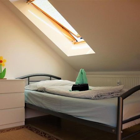 Zentral Gelegene Wohnung Nahe Schwanenteich Zwickau Exteriér fotografie