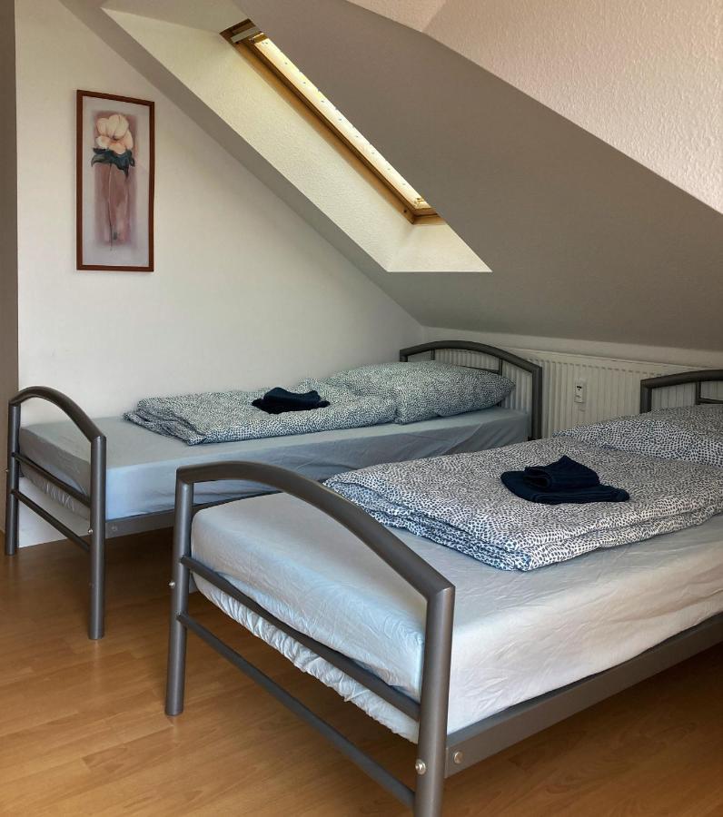 Zentral Gelegene Wohnung Nahe Schwanenteich Zwickau Exteriér fotografie