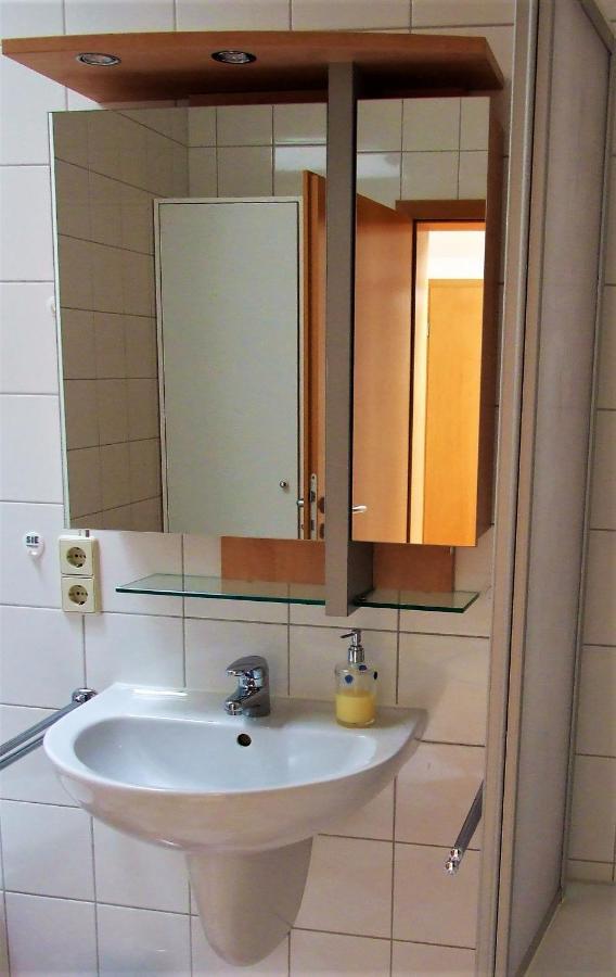 Zentral Gelegene Wohnung Nahe Schwanenteich Zwickau Exteriér fotografie