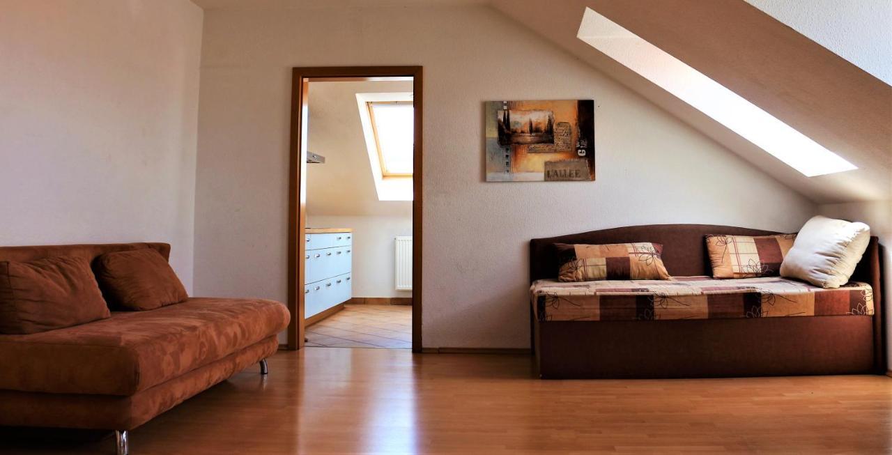 Zentral Gelegene Wohnung Nahe Schwanenteich Zwickau Exteriér fotografie