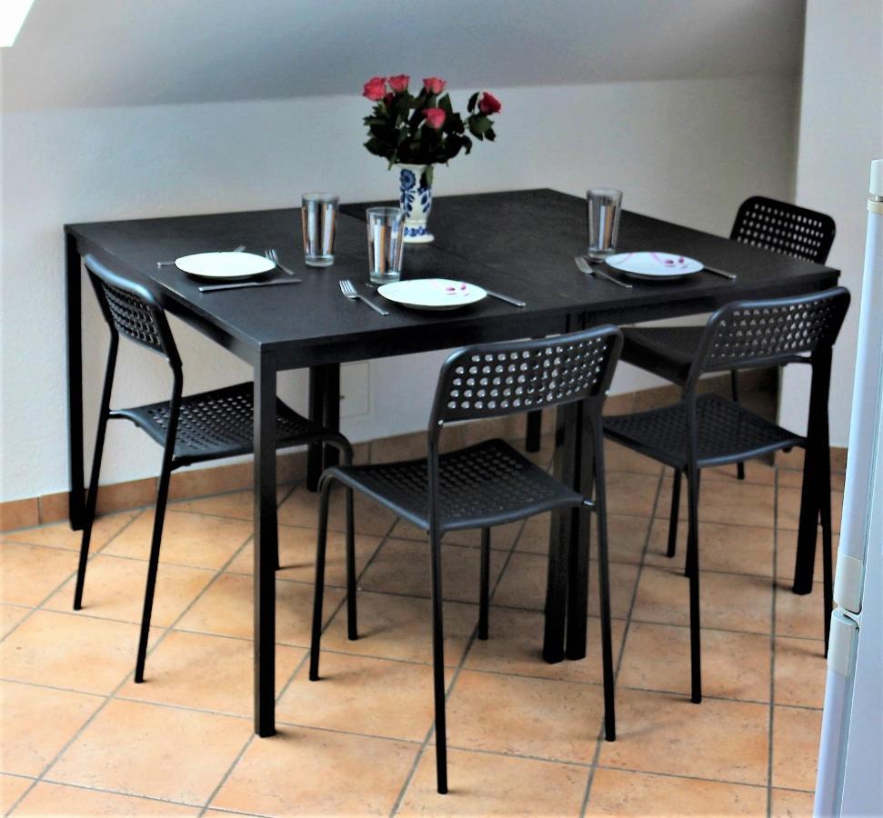 Zentral Gelegene Wohnung Nahe Schwanenteich Zwickau Exteriér fotografie